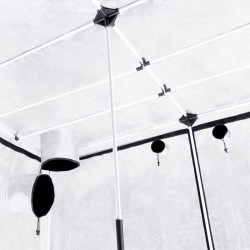 Carpa 240x240x200 Basic Garden Probox