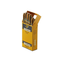 Cohiba Short x 10