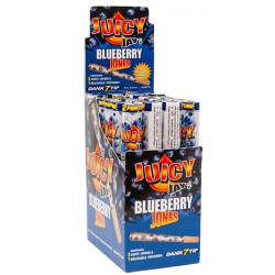 Cyclones Juicy Jay S x2 Bluberry