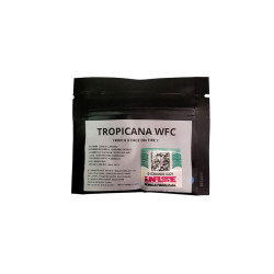 Sweed Lab Semillas Feminizadas Tropicana WFC x4