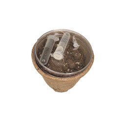 Ananda001 Kit de Cultivo x1