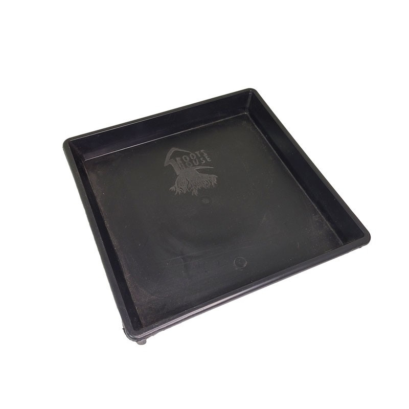 Roots House Plato Plástico Chico