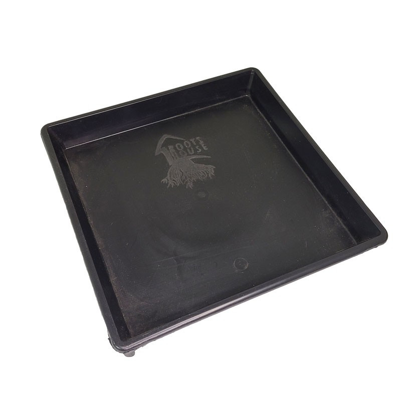 Roots House Plato Plástico Grande