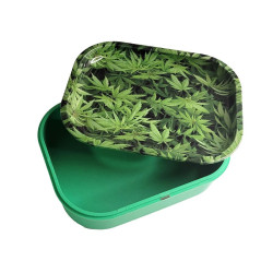 Zeus Bandeja con Tapa Mediana TY 016