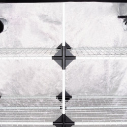 Carpa 120x40 x200cm Garden Probox Propagator XL