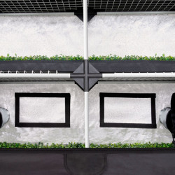 Carpa 120x40 x200cm Garden Probox Propagator XL