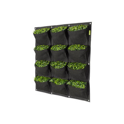 Garden maceta Propot Muro Vertical 12