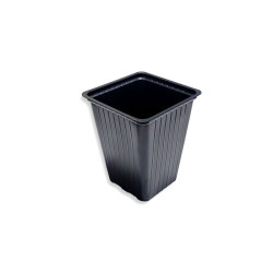 Maceta Carluccio Cuadrada Plantin 7.3*9CM (300CC)