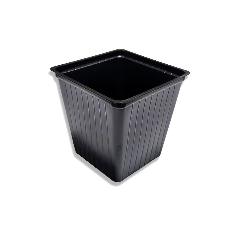 Maceta Carluccio Cuadrada 9.7*9.7CM (600CC)