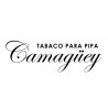 Camaguey